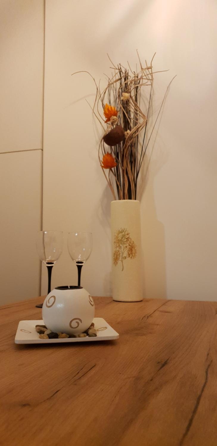 Dunja Apartment in Serbia