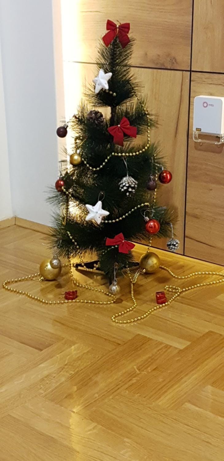 Dunja Apartment in Serbia