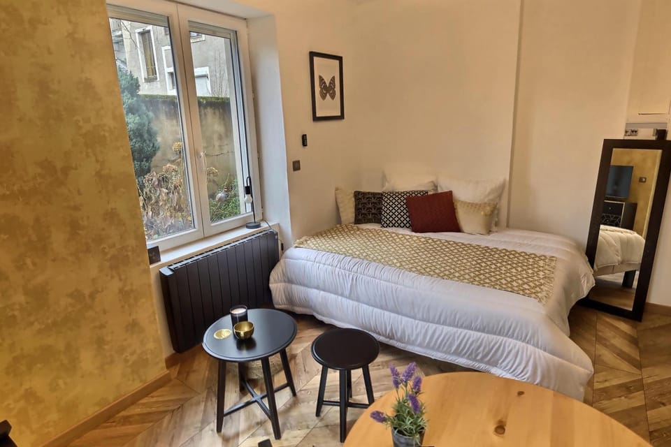 Le Mangin - Studio avec terrasse Apartment in Metz