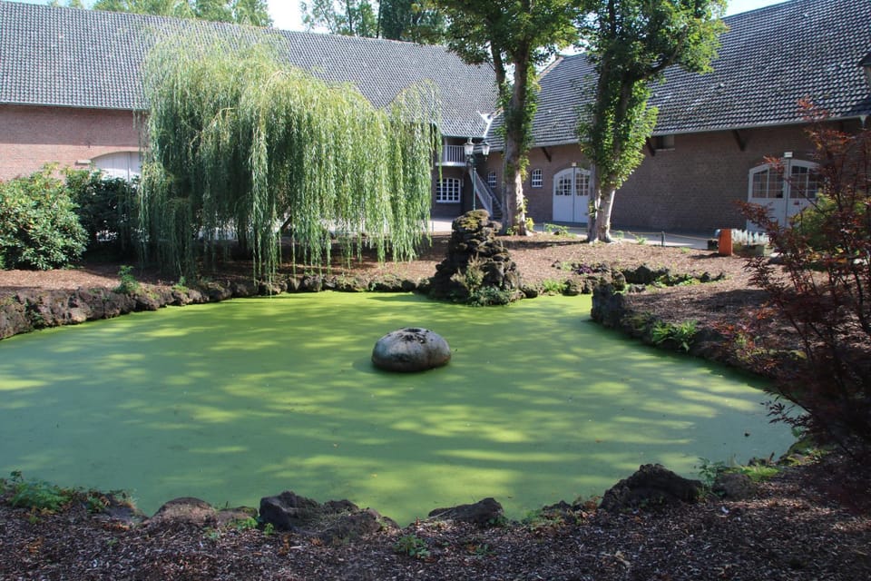 Natural landscape