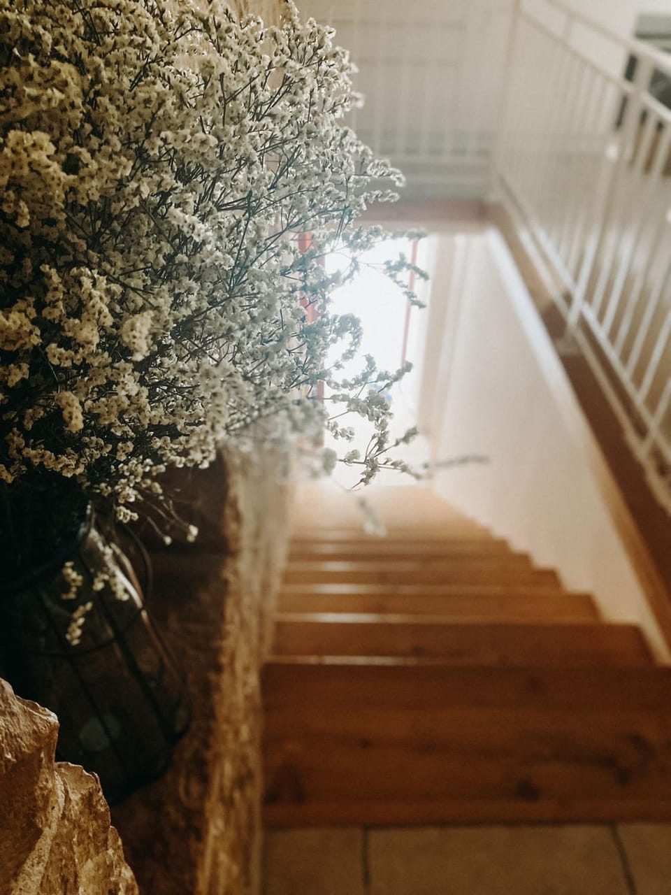 B&B MARNUDD Bed and Breakfast in Apulia