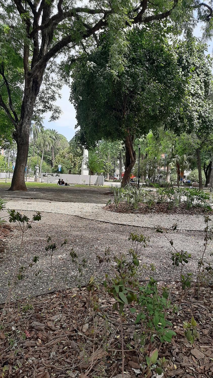 Excelente departamento Barrio Sur Apartment in San Miguel de Tucumán