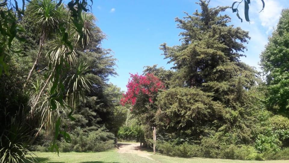 Casa quinta Los Alazanes House in Buenos Aires Province