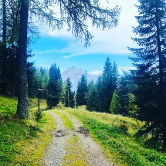 Hiking