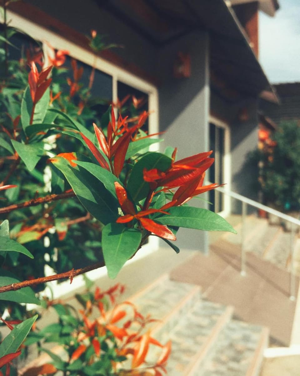 Boutique Family Room Phitsanulok Bed and Breakfast in Laos