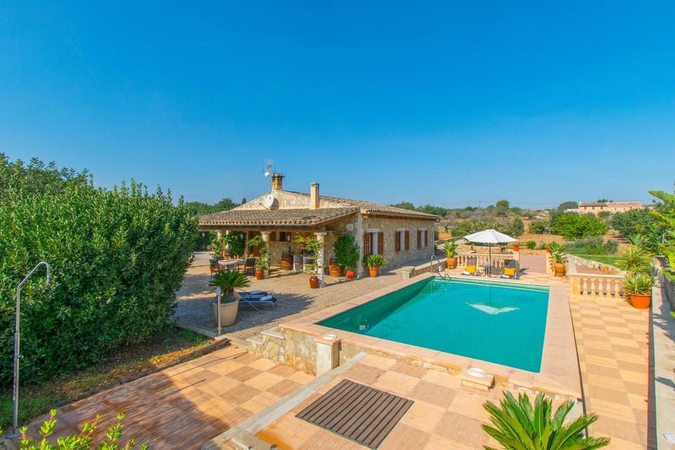 Property building, Garden, Swimming pool, Swimming pool