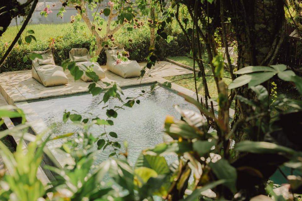Natural landscape, Garden