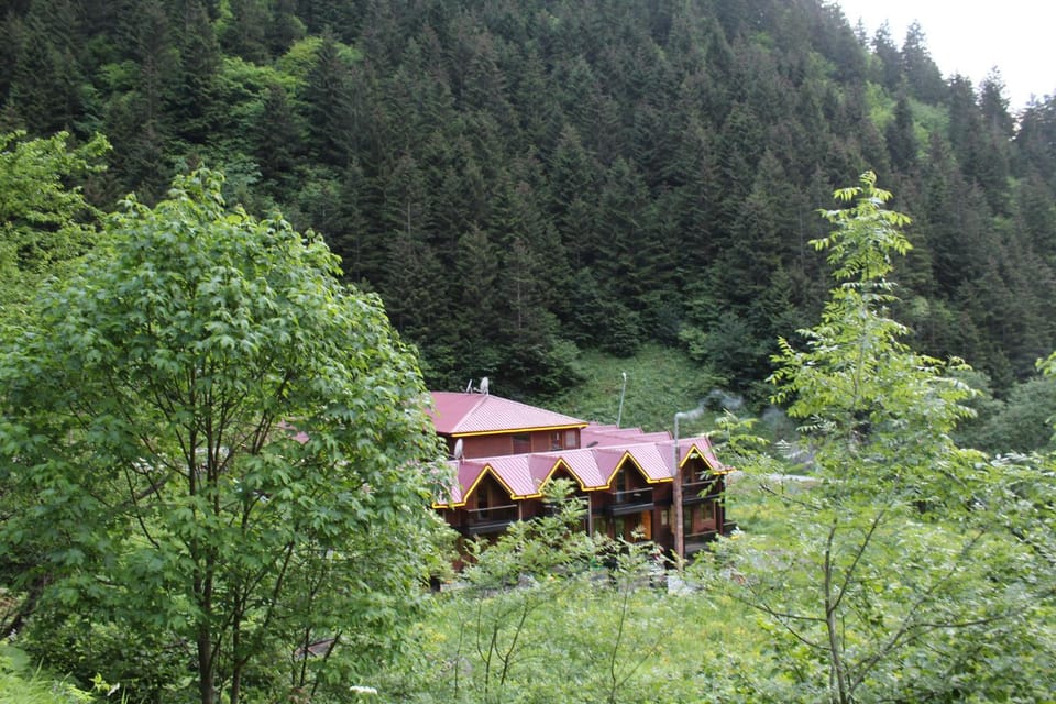 Property building, View (from property/room)