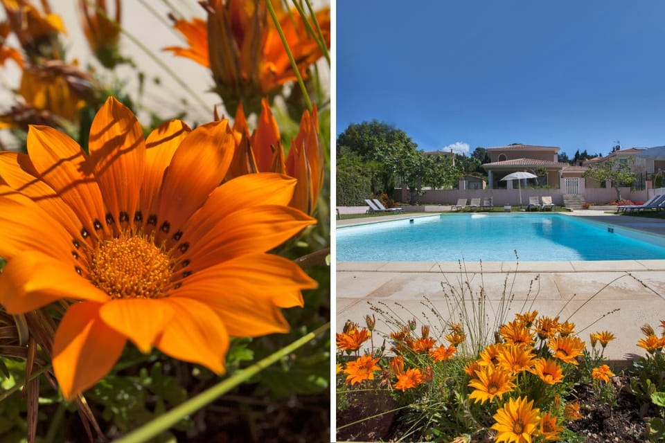 Spring, Garden view, Pool view