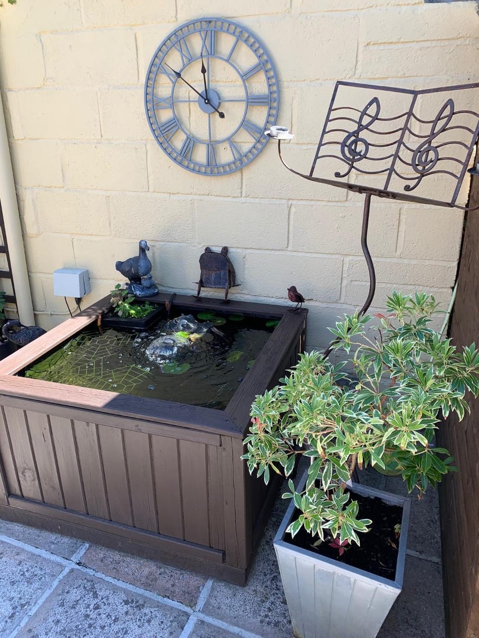 Garden