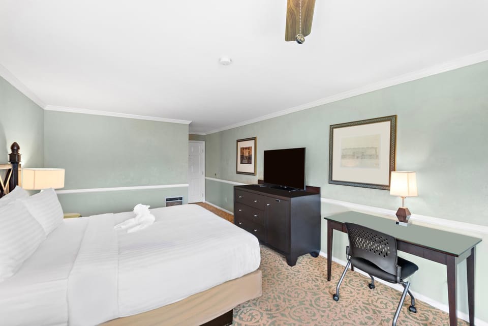 Bed, TV and multimedia