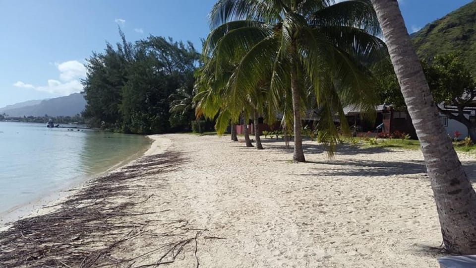 Off site