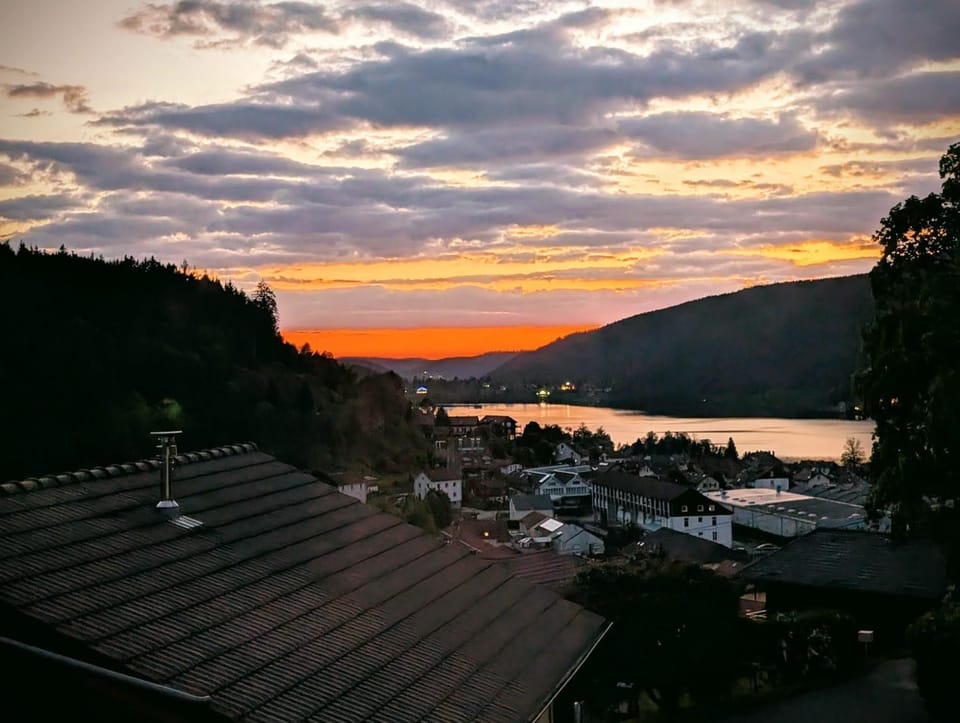 Lake view