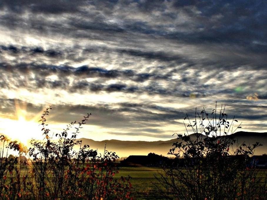 Natural landscape, Garden view