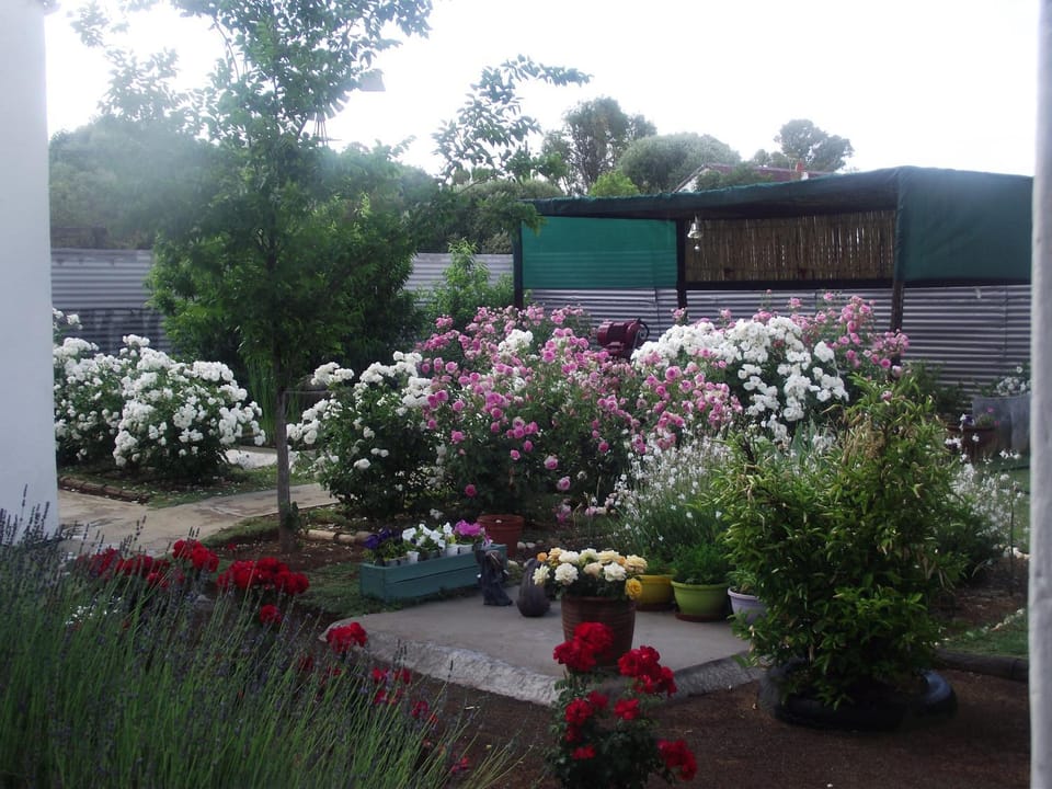Garden, Garden view