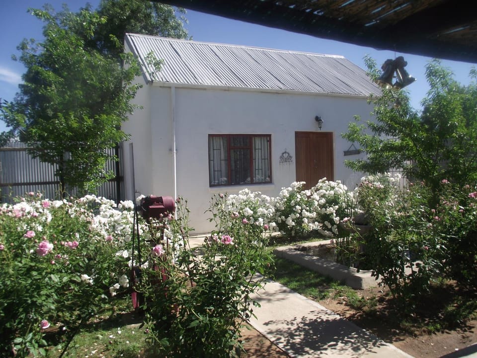 Property building, Garden view