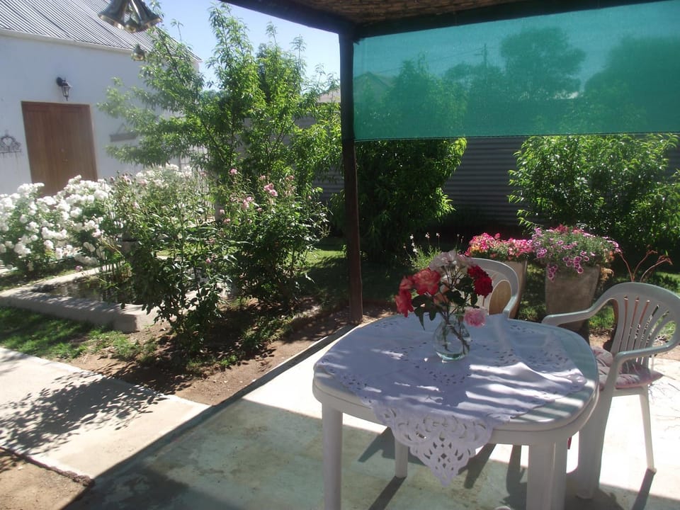 Patio, Garden