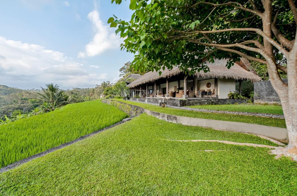 Property building, Garden, Garden