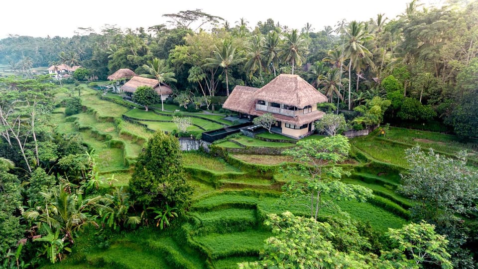 Day, Bird's eye view