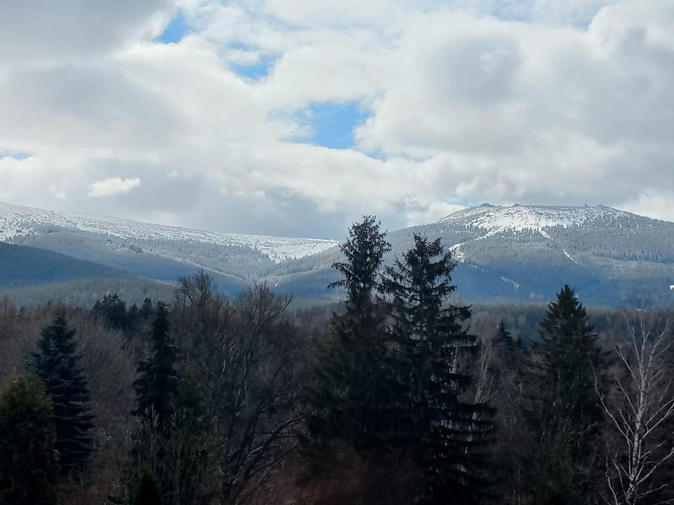 Natural landscape, Winter, Garden view, Mountain view