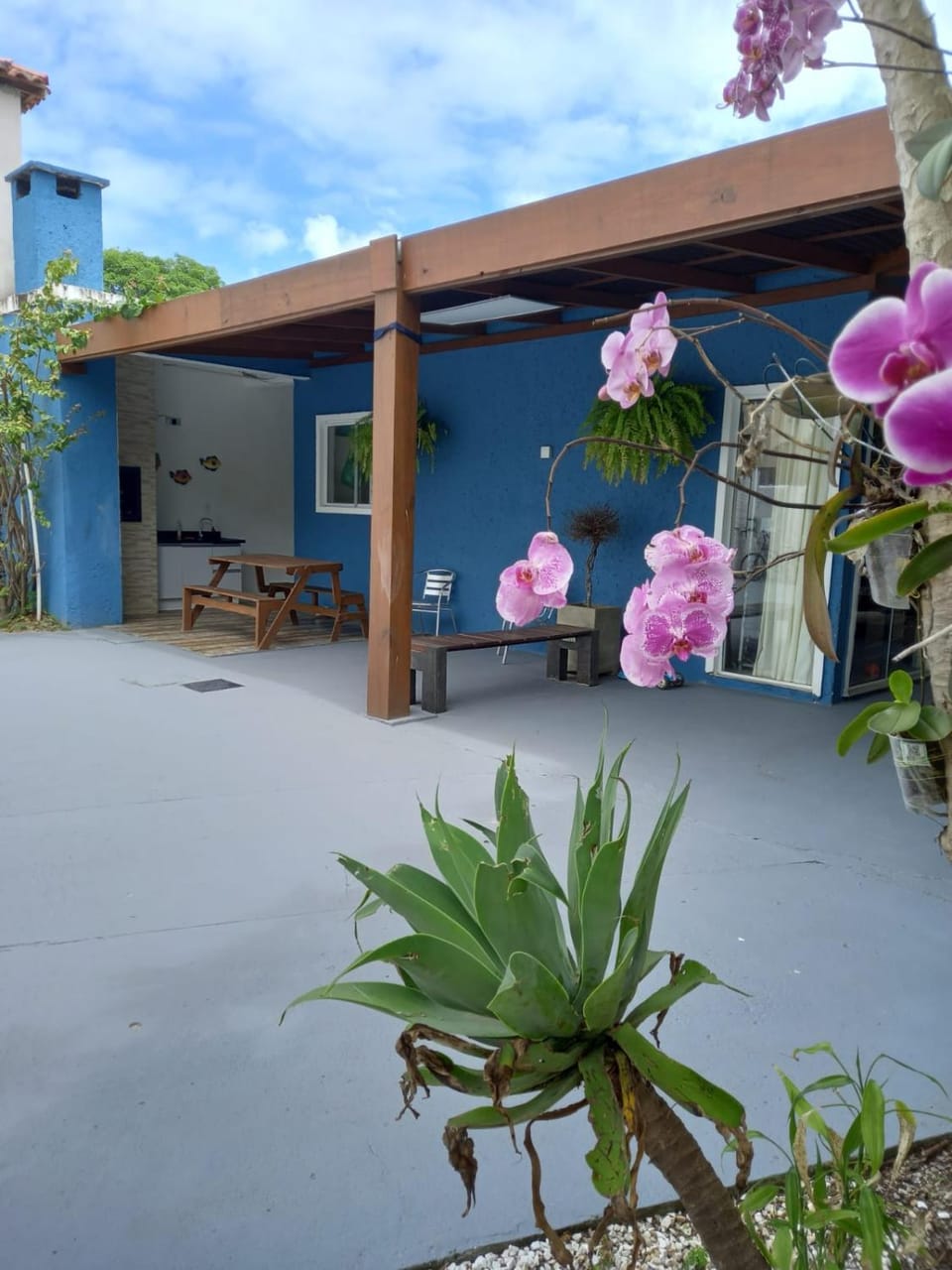 Garden view