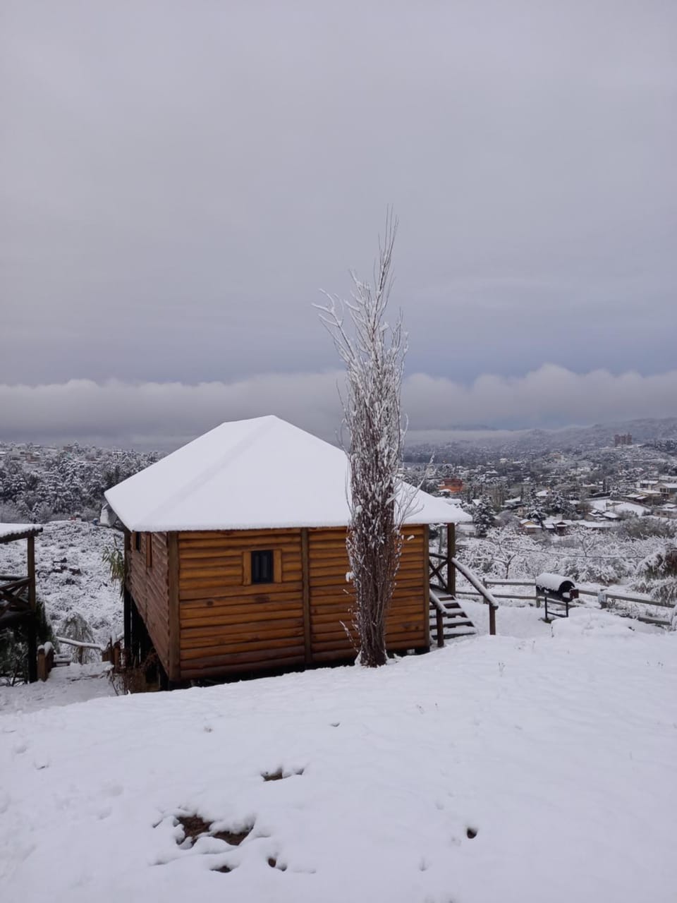 Property building, Winter