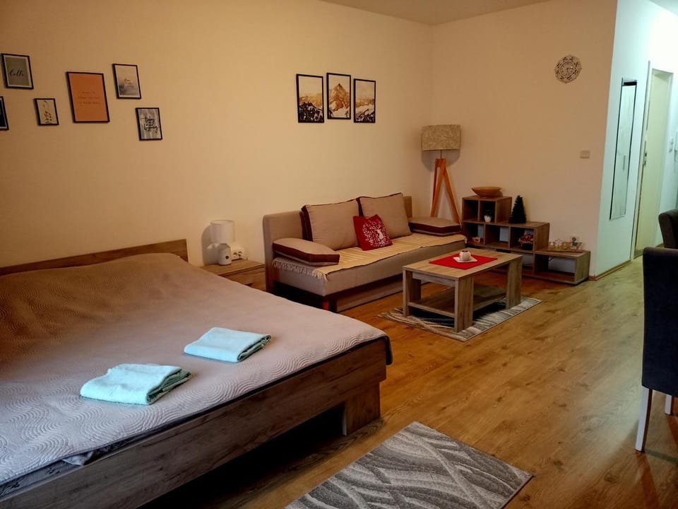 Anilux studio Apartment in Serbia