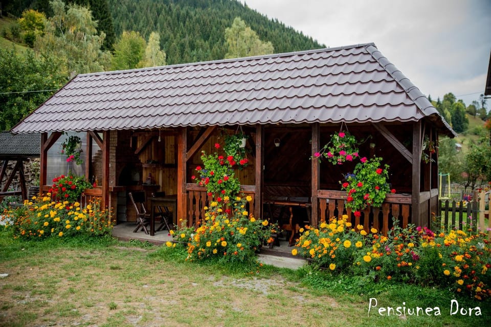 Casa Dora Vacation rental in Brașov County