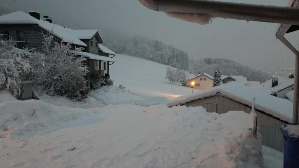 Winter