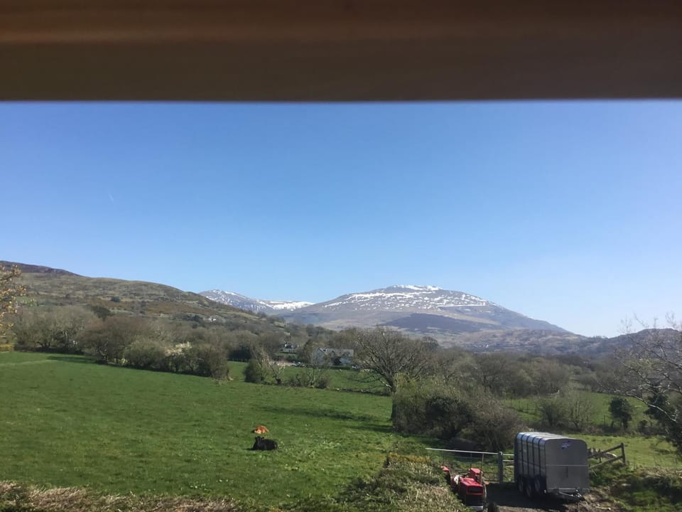 Tyddyn Perthi Farm Farm Stay in Wales