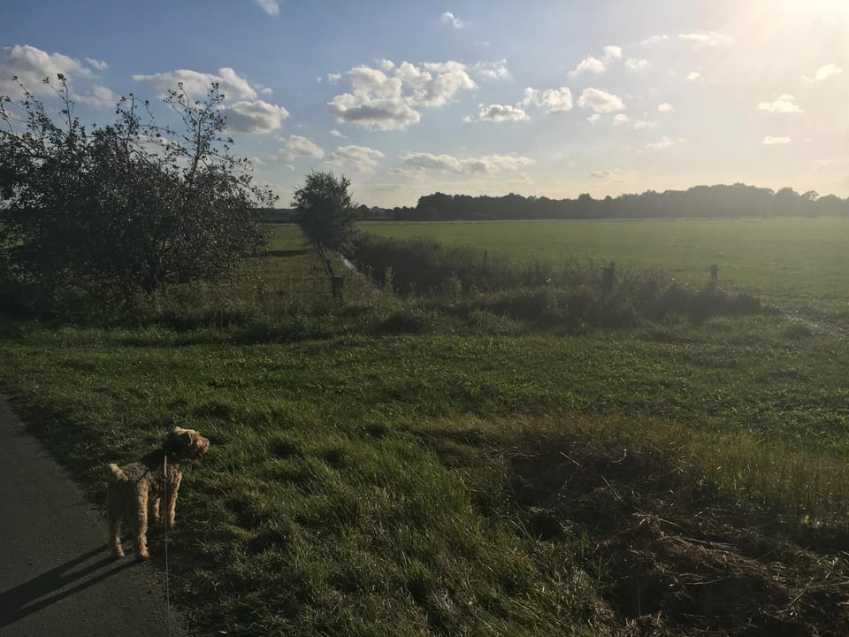 Neighbourhood, Natural landscape