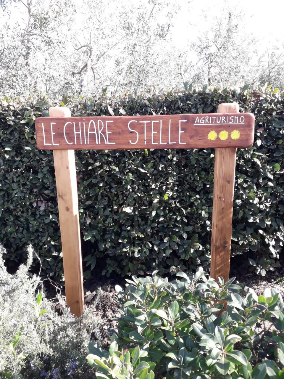Agriturismo Le Chiare Stelle Farm Stay in Tuscany