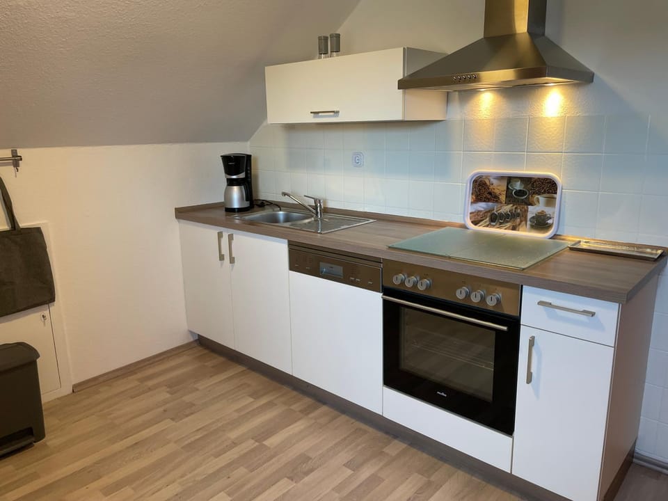 dishwasher, stove, kitchen