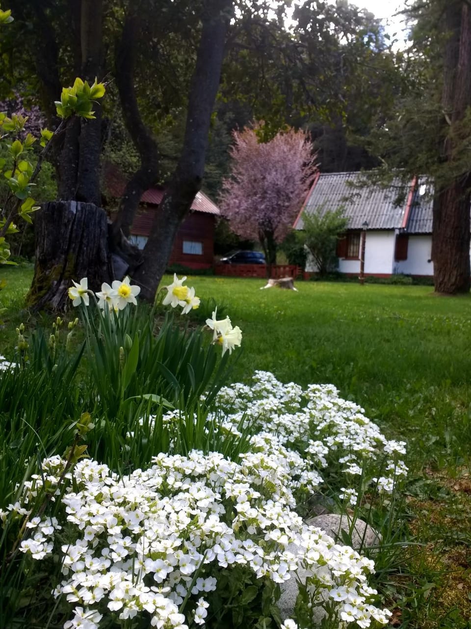 Spring