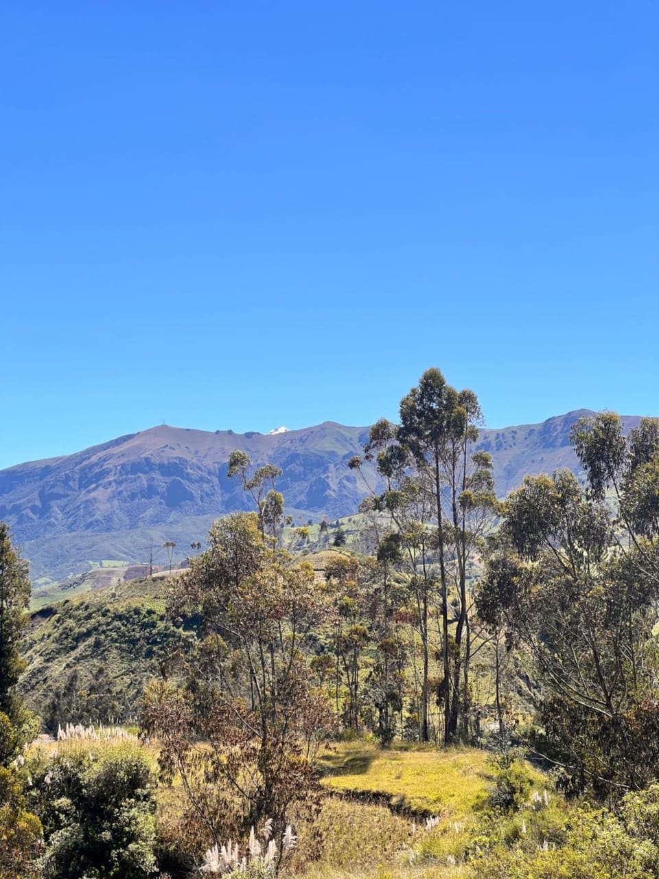 Hostal Doña Clarita Inn Vacation rental in Cotopaxi, Ecuador