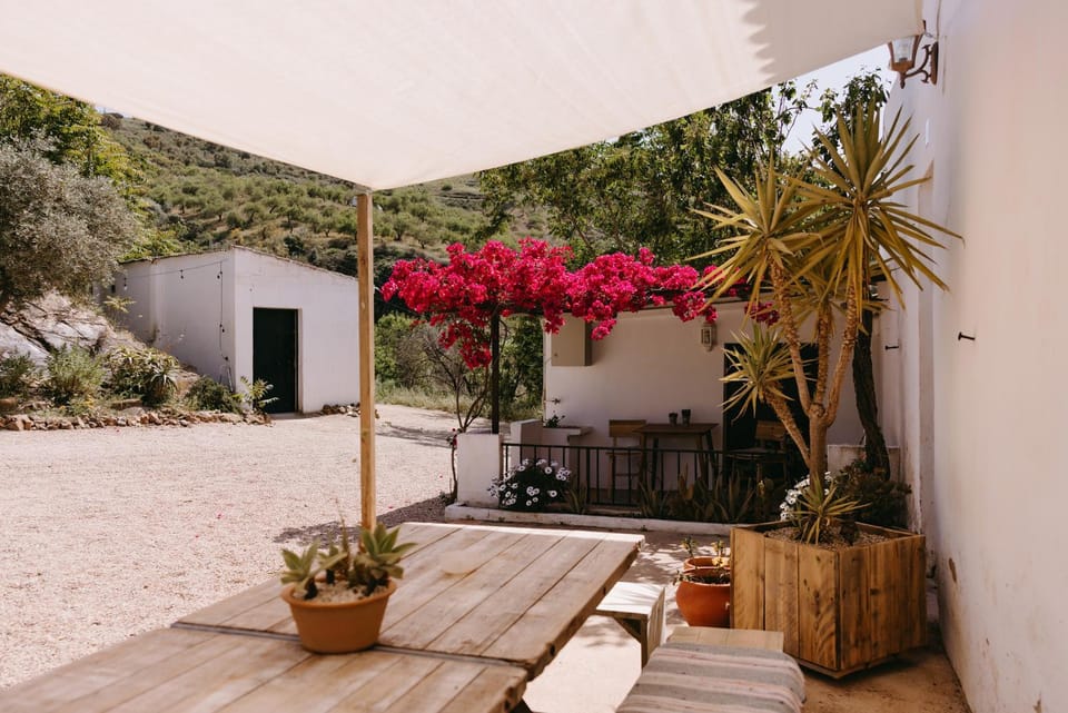 Patio, Internal: Not applicable to any particular room