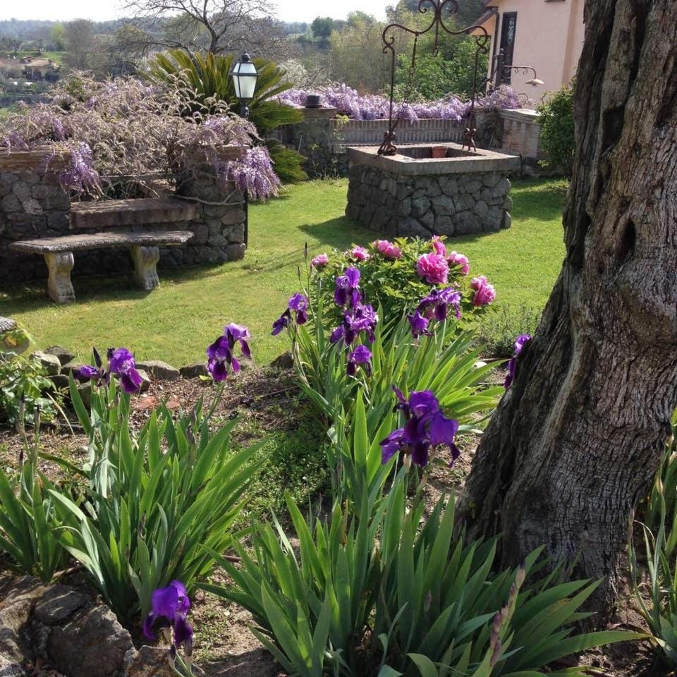 Garden, Garden view