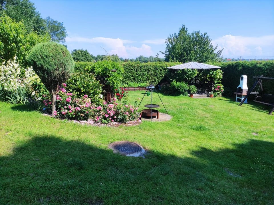 Natural landscape, Summer, Garden, Garden view