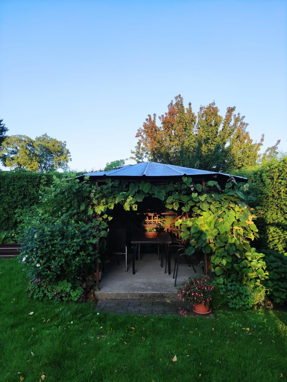 Natural landscape, Summer, Garden
