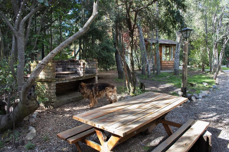 BBQ facilities, Garden