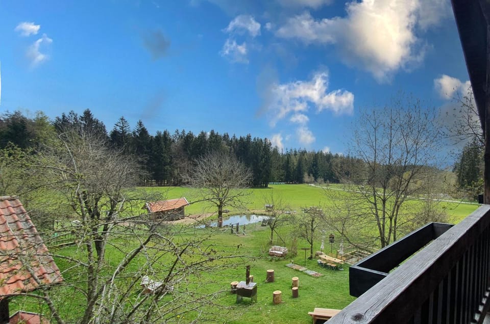 Garden view