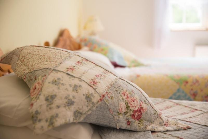 Shannon Breeze B&B Bed and Breakfast in County Clare