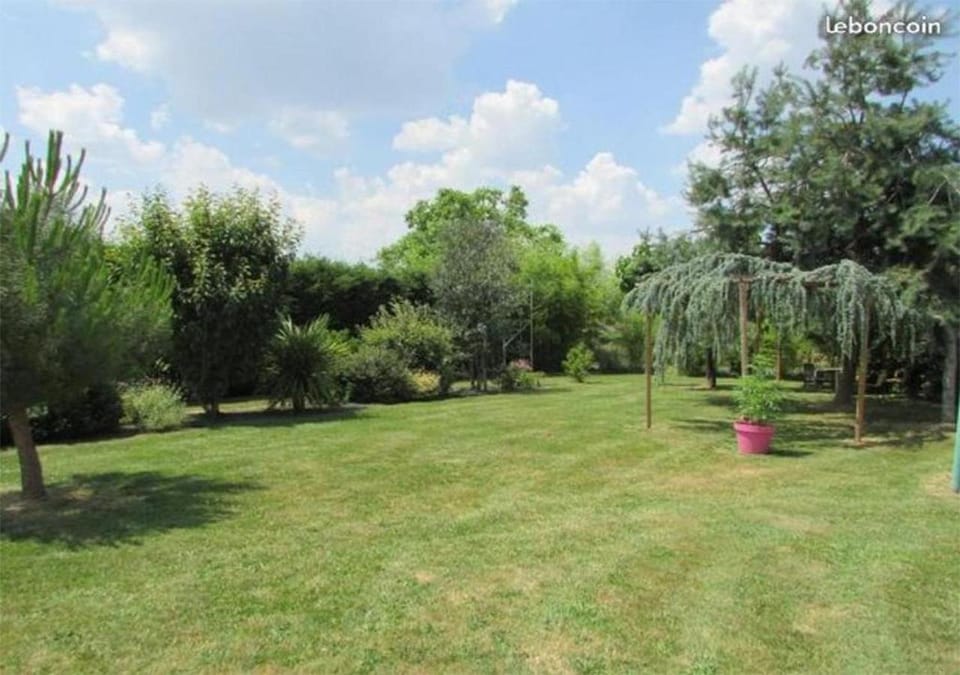 Spring, Natural landscape, Garden, Garden view