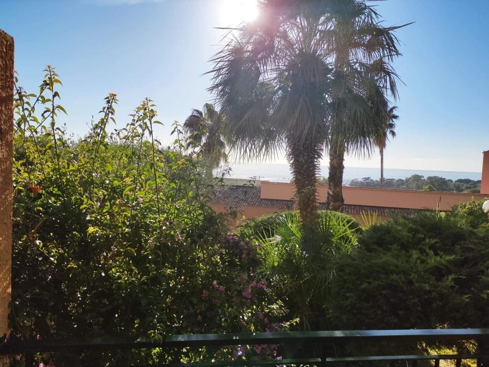 Natural landscape, Garden view