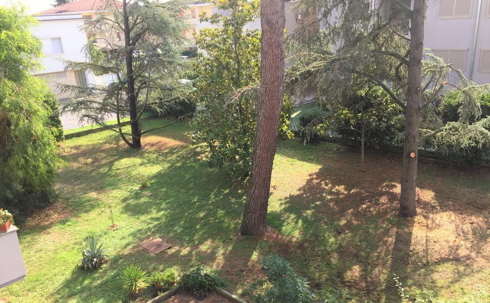 Spring, Day, Natural landscape, Garden, Garden
