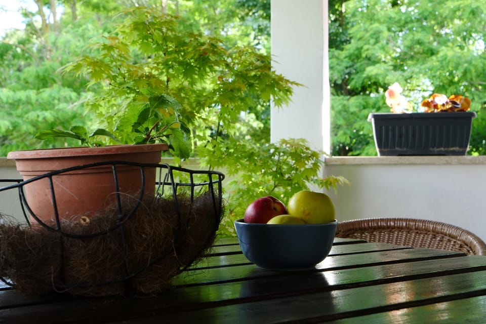 Apartment and Rooms Vilma Bed and Breakfast in Fažana