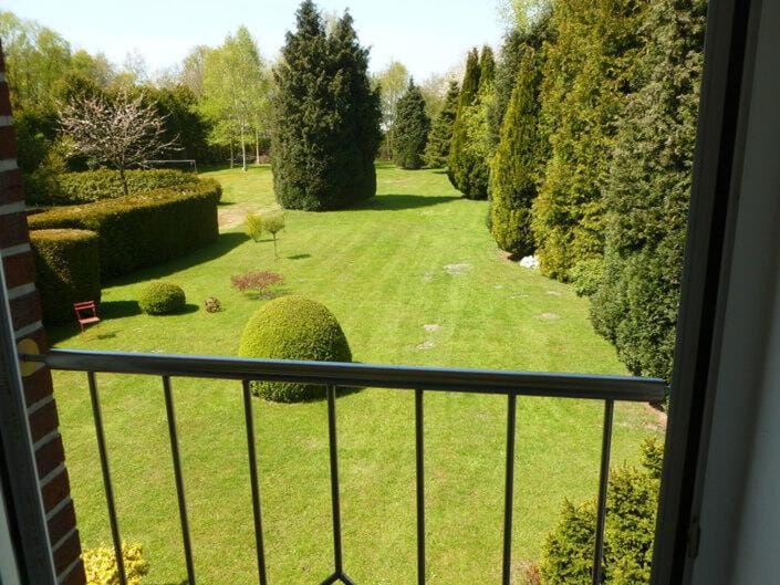 Garden view