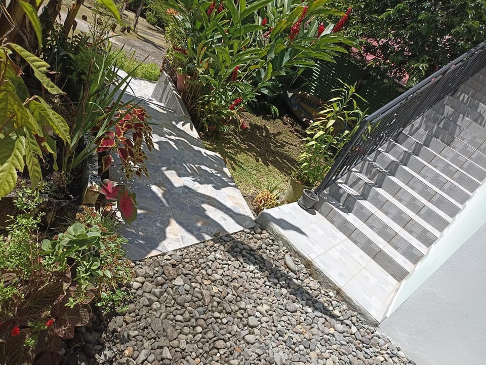 Garden view