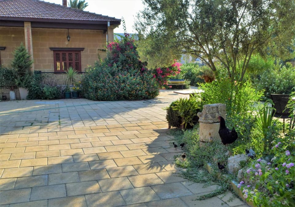 Property building, Facade/entrance, Garden