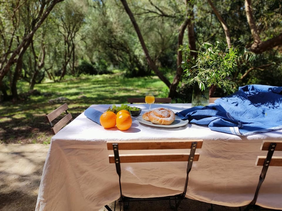Finca Cas Canar Villa in Pla de Mallorca